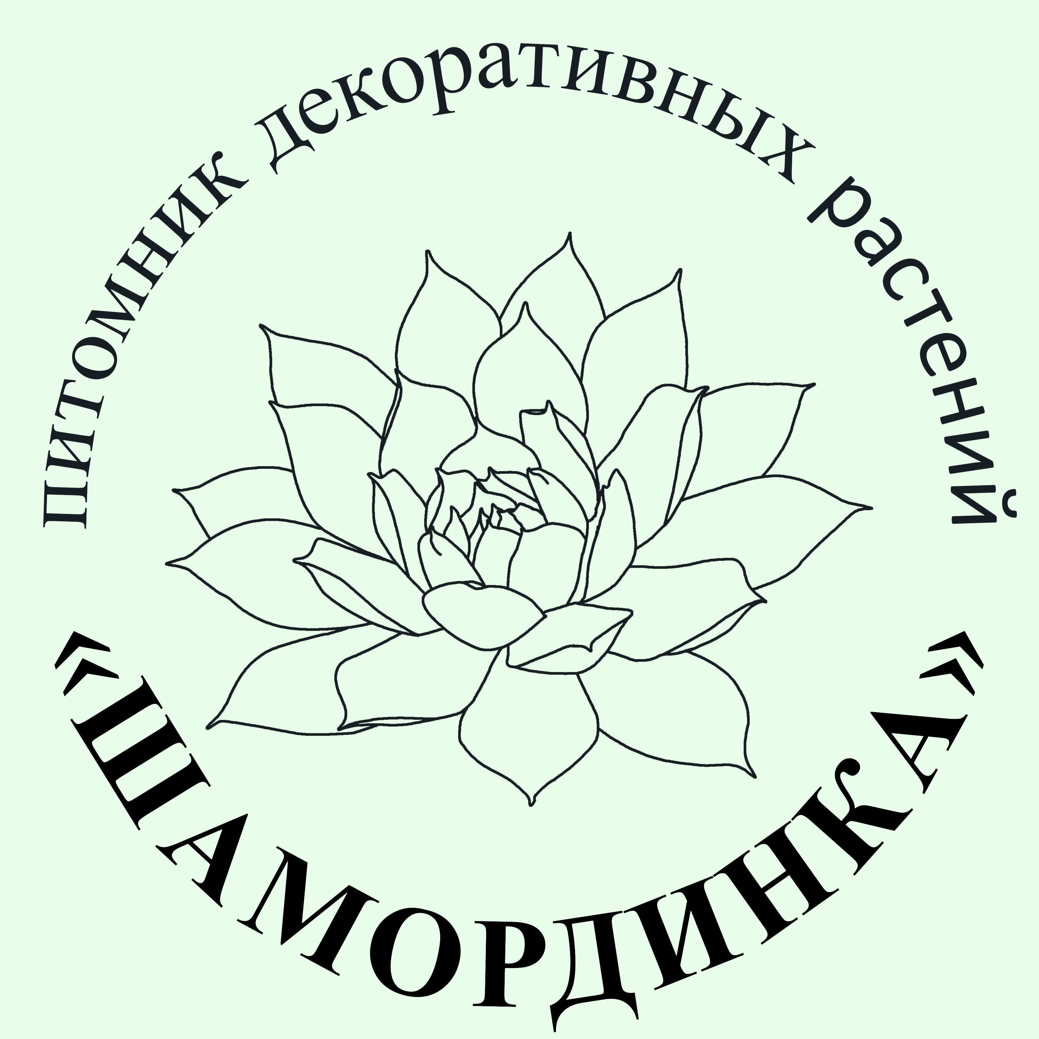 Питомник декоративных растений "Шамординка" г. Калуга